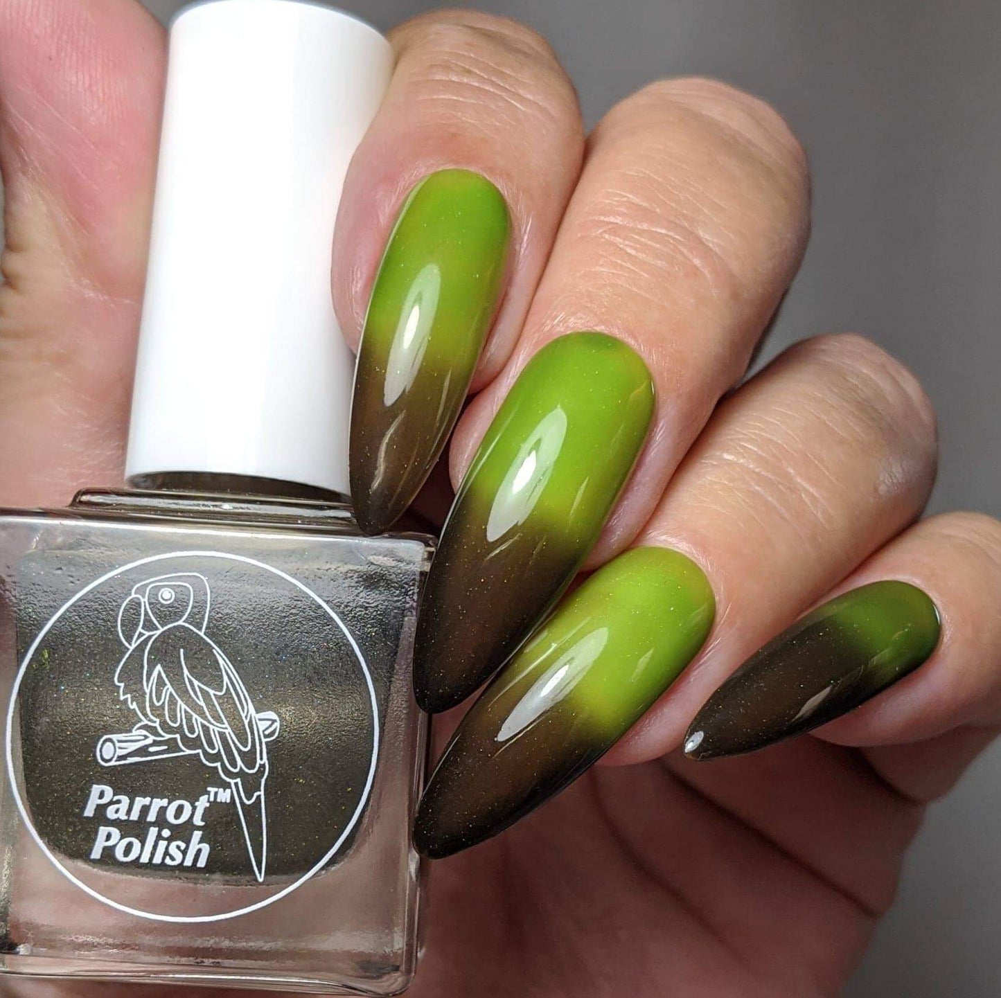Parrot Polish Chocolate Lime Thermal Nail Polish - Brown/Lime Green