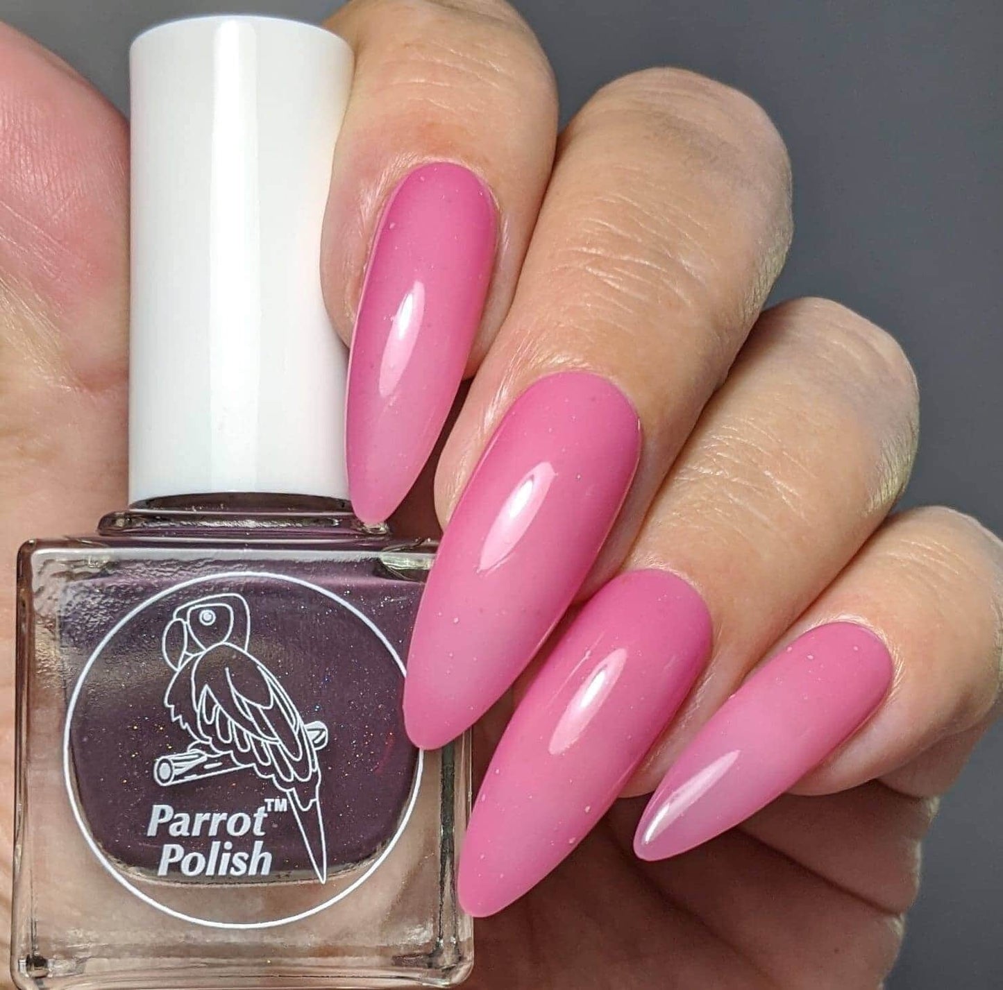 Parrot Polish Black Cherry Thermal Nail Polish - Brown/Pink