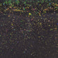 Parrot Polish Darkest Before the Light Thermal Nail Polish - Black/Grey