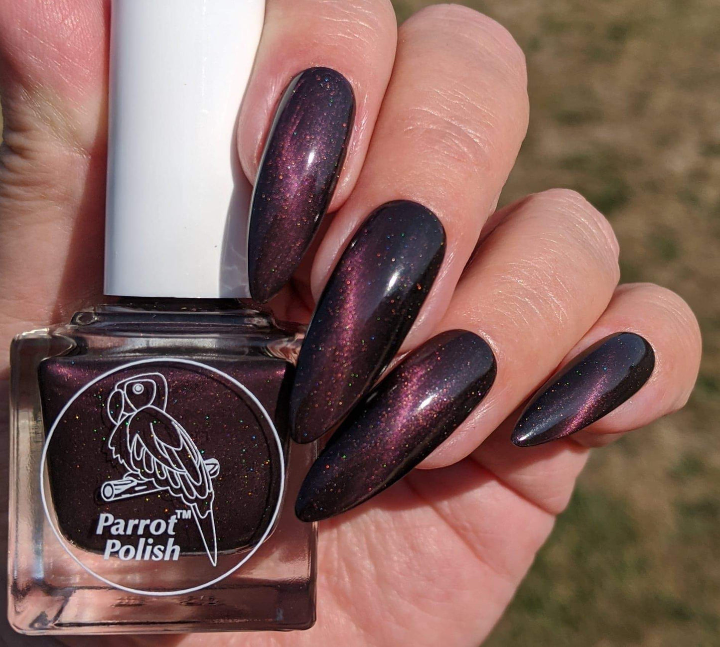 Parrot Polish Versatile Lady Magnetic Nail Polish - Red/Brown