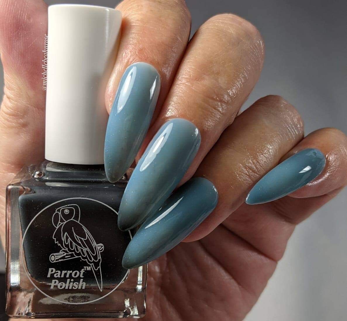 Parrot Polish Black Dragon Thermal Nail Polish - Black/Bluish Grey
