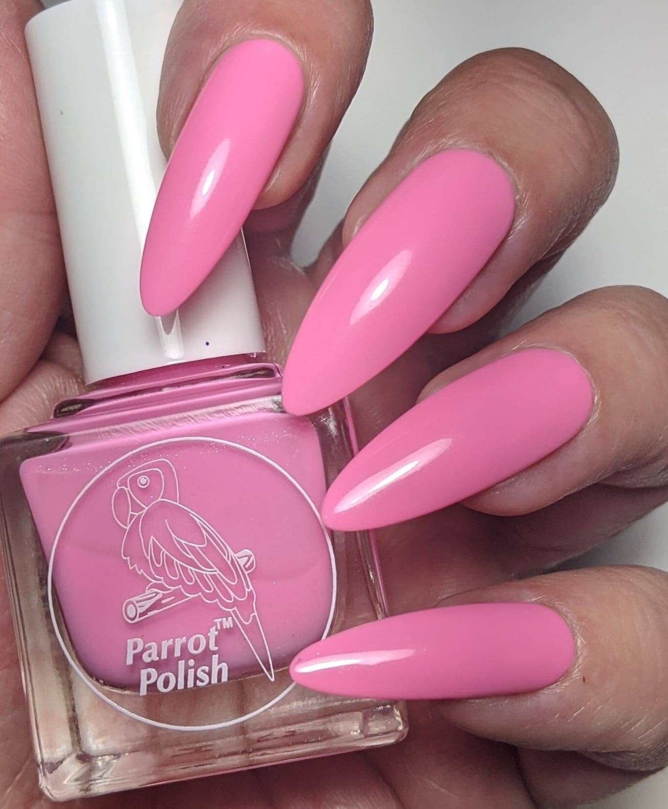 Parrot Polish The Macaron Neon Pastel Nail Polish Collection - Set of 6