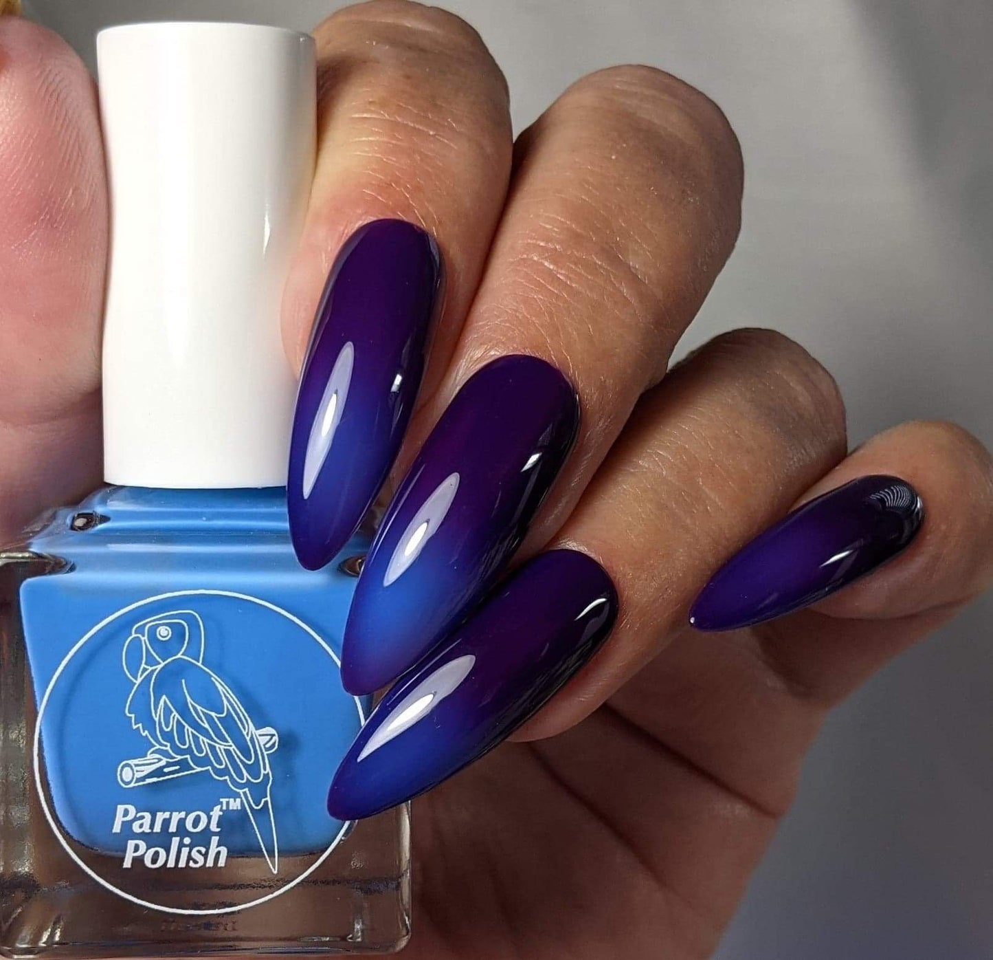 Parrot Polish Blurple Sky Solar Nail Polish - Blue/Purple