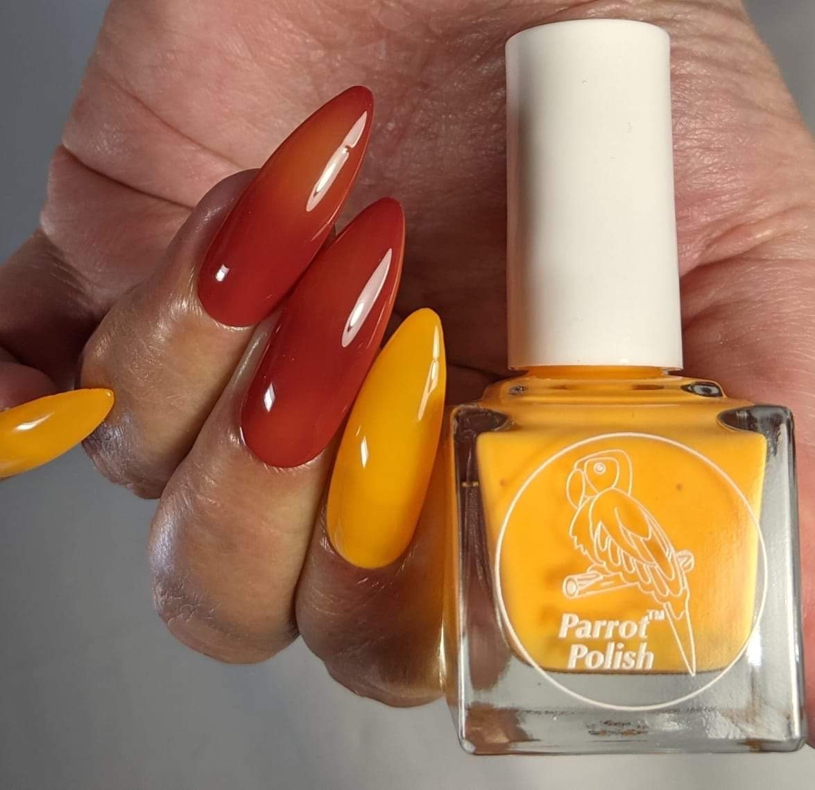 Parrot Polish Sunset Burn Solar Nail Polish - Orange/Red