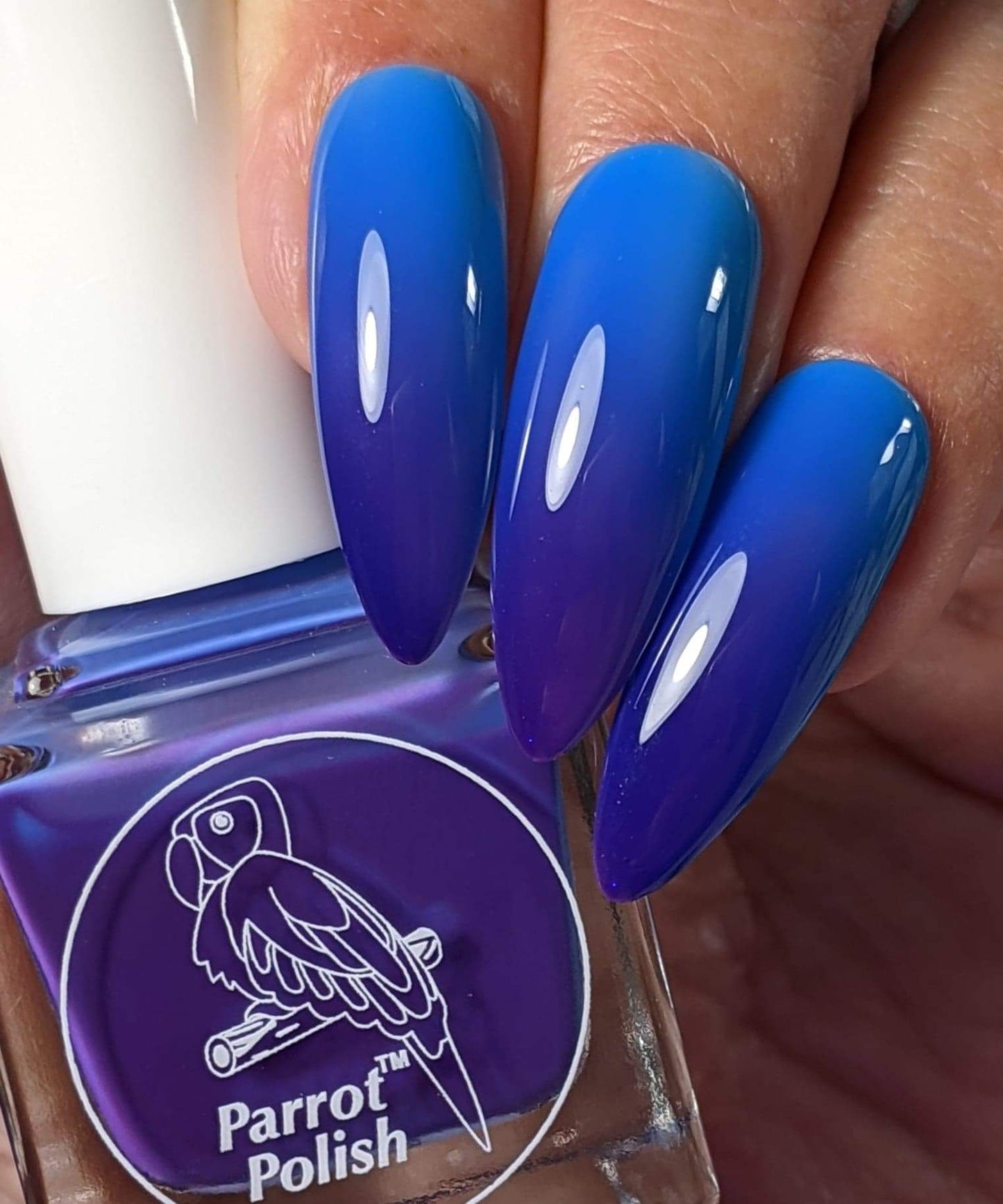 Parrot Polish Blurple Sky Solar Nail Polish - Blue/Purple