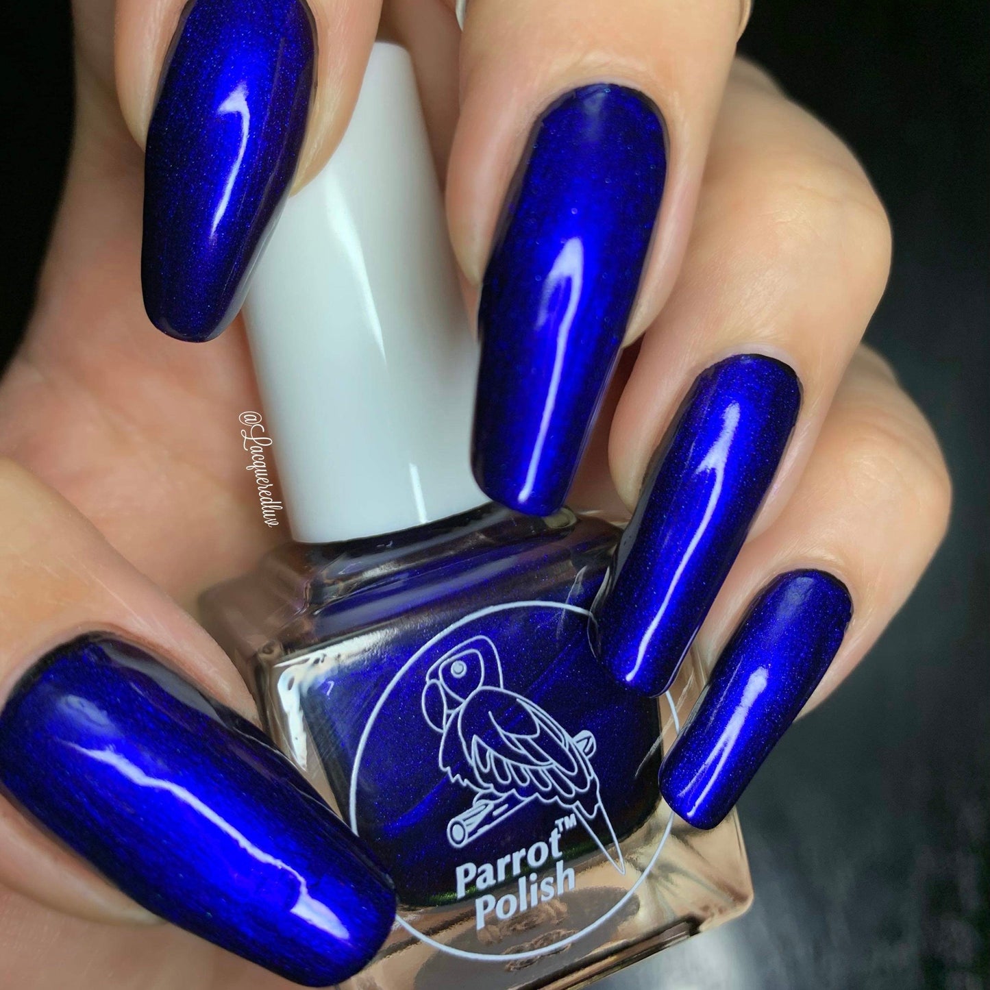 Parrot Polish Nosferatu Multichrome Nail Polish - Blue/Black